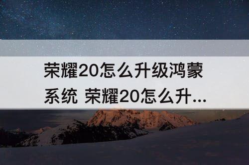 荣耀20怎么升级鸿蒙系统 荣耀20怎么升级鸿蒙系统吗?