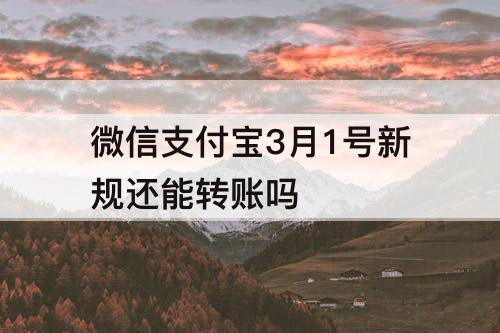 微信支付宝3月1号新规还能转账吗