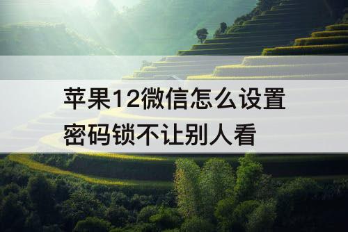 苹果12微信怎么设置密码锁不让别人看