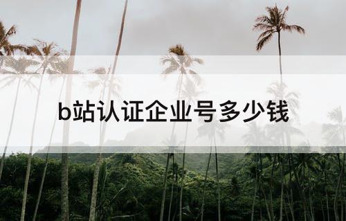 b站认证企业号多少钱