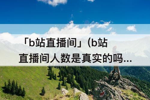 「b站直播间」(b站直播间人数是真实的吗)