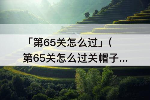 「第65关怎么过」(第65关怎么过关帽子先生)
