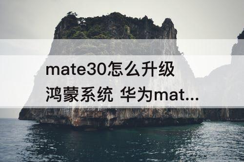 mate30怎么升级鸿蒙系统 华为mate30怎么升级鸿蒙系统3.0
