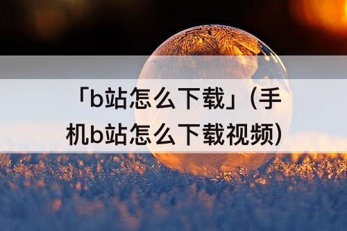 「b站怎么下载」(手机b站怎么下载视频)