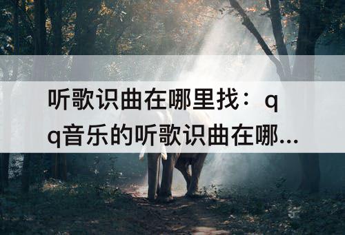 听歌识曲在哪里找：qq音乐的听歌识曲在哪里找到