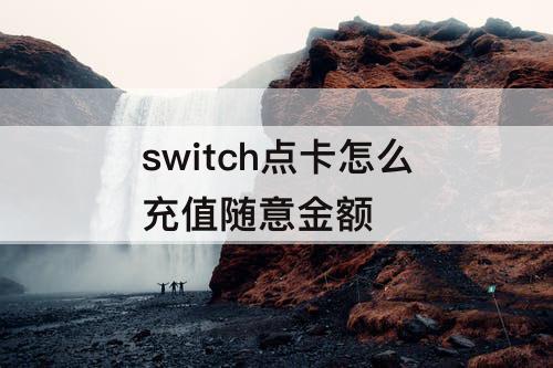 switch点卡怎么充值随意金额
