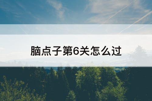 脑点子第6关怎么过