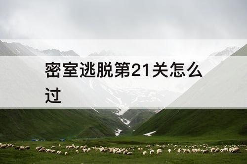 密室逃脱第21关怎么过
