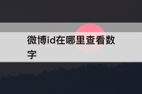 微博id在哪里查看数字