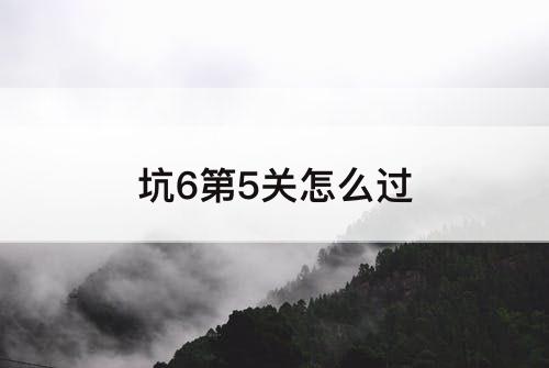 坑6第5关怎么过