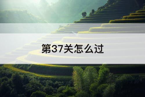 第37关怎么过