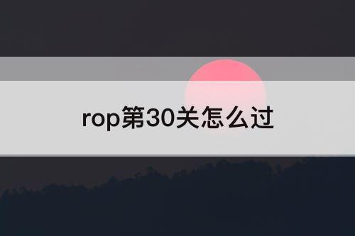 rop第30关怎么过
