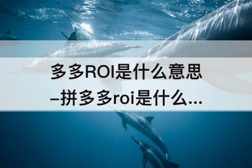 多多ROI是什么意思-拼多多roi是什么意思