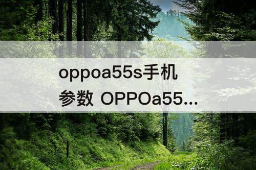 oppoa55s手机参数 OPPOa55s手机参数配置详情