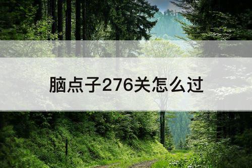 脑点子276关怎么过