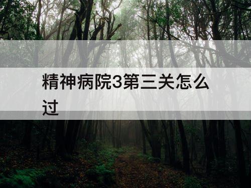 精神病院3第三关怎么过
