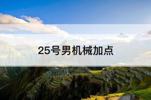 25号男机械加点