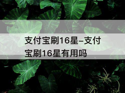 支付宝刷16星-支付宝刷16星有用吗