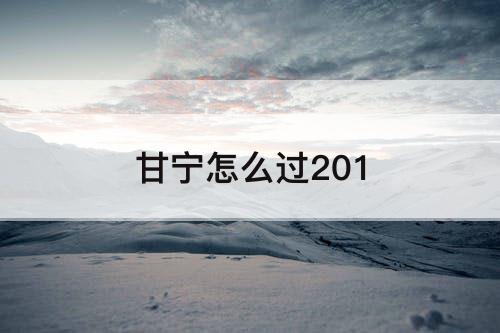 甘宁怎么过201