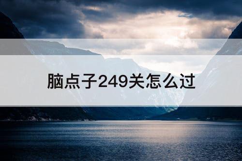 脑点子249关怎么过