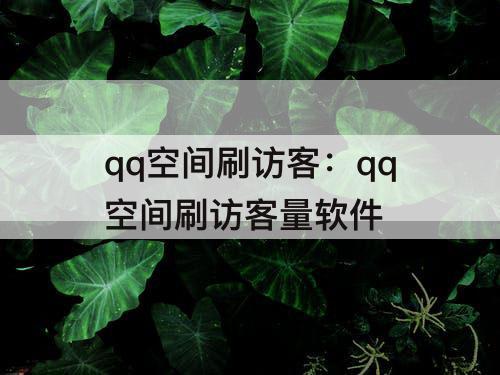 qq空间刷访客：qq空间刷访客量软件