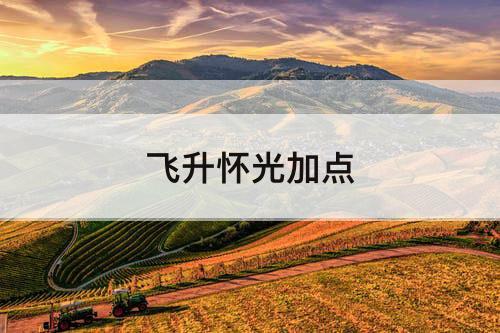 飞升怀光加点
