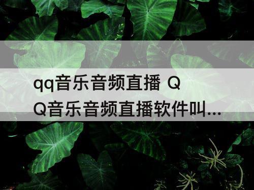 qq音乐音频直播 QQ音乐音频直播软件叫什么