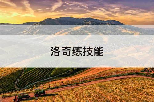 洛奇练技能