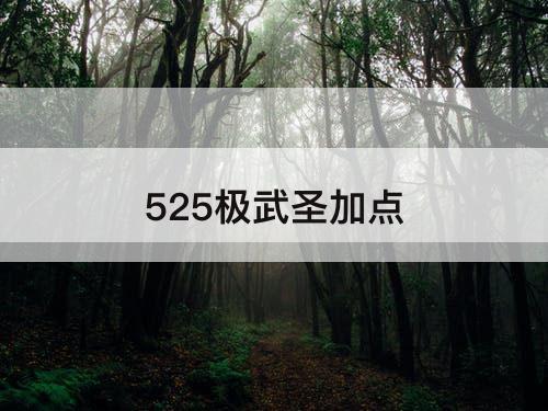525极武圣加点