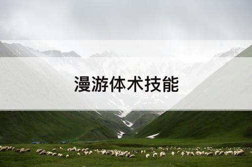 漫游体术技能