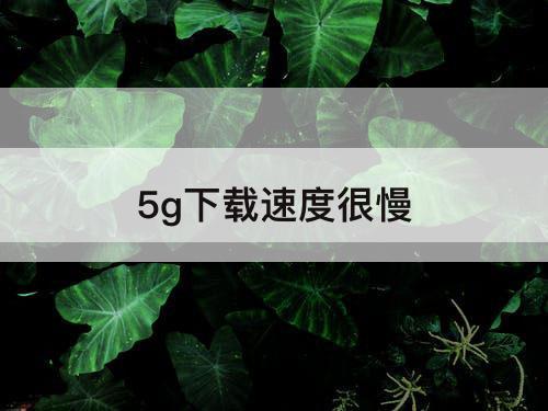 5g下载速度很慢