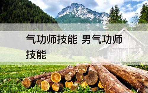 气功师技能 男气功师技能