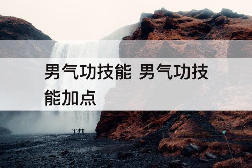 男气功技能 男气功技能加点