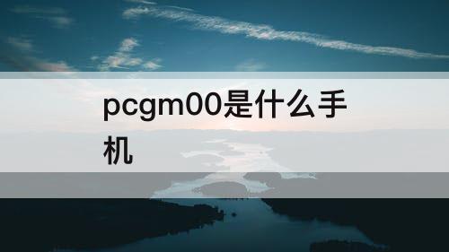 pcgm00是什么手机