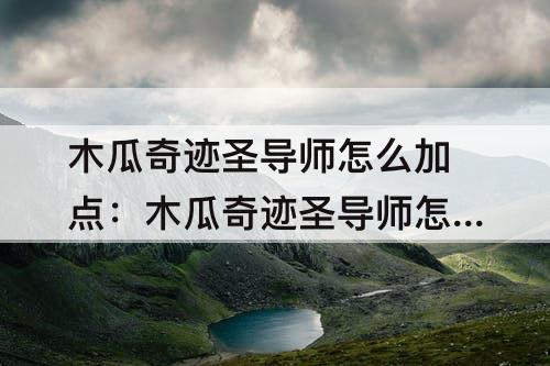 木瓜奇迹圣导师怎么加点：木瓜奇迹圣导师怎么加点最好