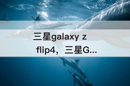 三星galaxy z flip4，三星Galaxy Z Flip4怎么样