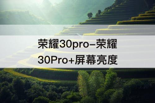 荣耀30pro-荣耀30Pro+屏幕亮度