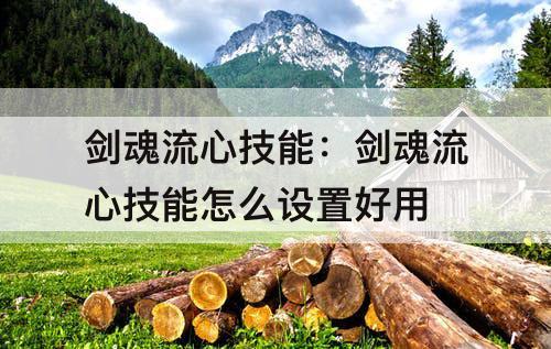 剑魂流心技能：剑魂流心技能怎么设置好用