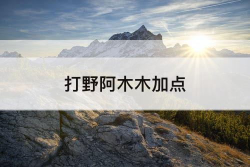 打野阿木木加点