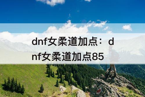 dnf女柔道加点：dnf女柔道加点85
