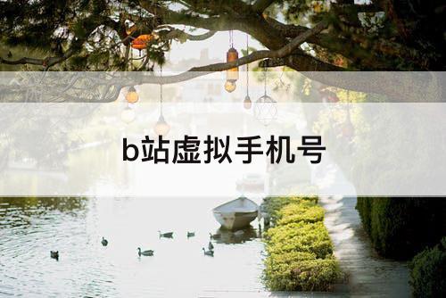 b站虚拟手机号