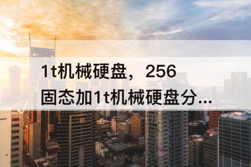 1t机械硬盘，256固态加1t机械硬盘分区