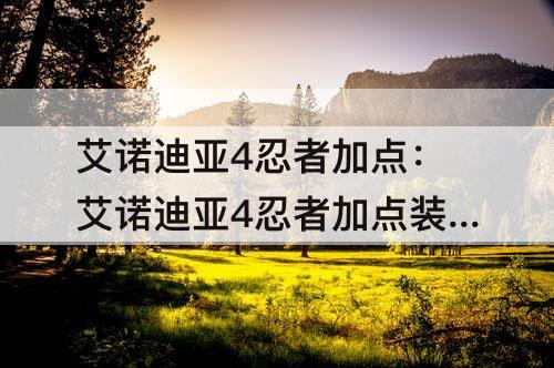艾诺迪亚4忍者加点：艾诺迪亚4忍者加点装备