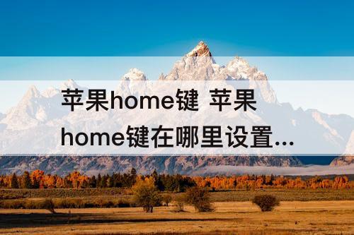 苹果home键 苹果home键在哪里设置震动