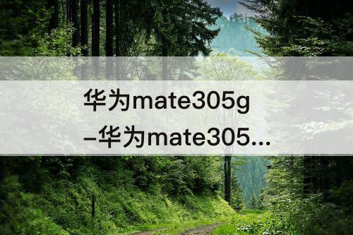 华为mate305g-华为mate305g和华为mate30pro5g参数对比