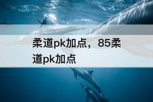 柔道pk加点，85柔道pk加点