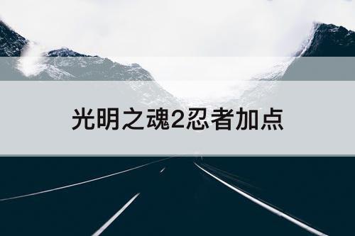 光明之魂2忍者加点