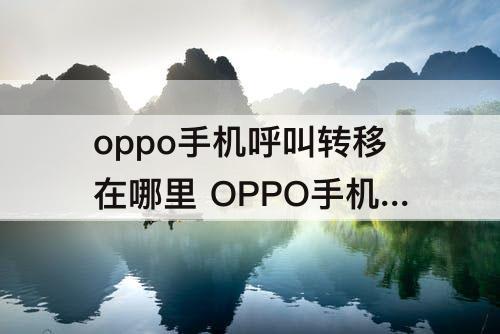 oppo手机呼叫转移在哪里 OPPO手机呼叫转移在哪里设置