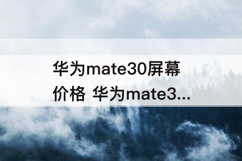 华为mate30屏幕价格 华为mate30屏幕价格官网价