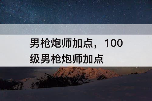 男枪炮师加点，100级男枪炮师加点